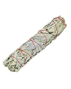 White Sage Smudge Stick 23-25cm